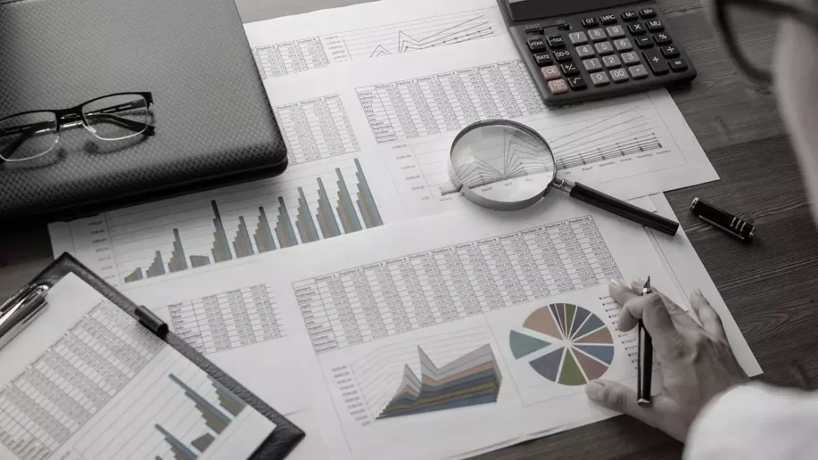 Documenti contabili e strumenti per l’analisi dei dati